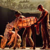 Eloise Beaumont-Wood, Diany Samba-Bandza, Jordan Paris (Baby Joey)