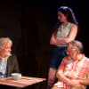 Leo (Tim Hardy), Norma (Katherine Lyle) & Benny (Jeremy Kareken)