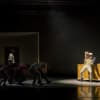 Phoenix Dance Theatre in Inside Giovanni's Room