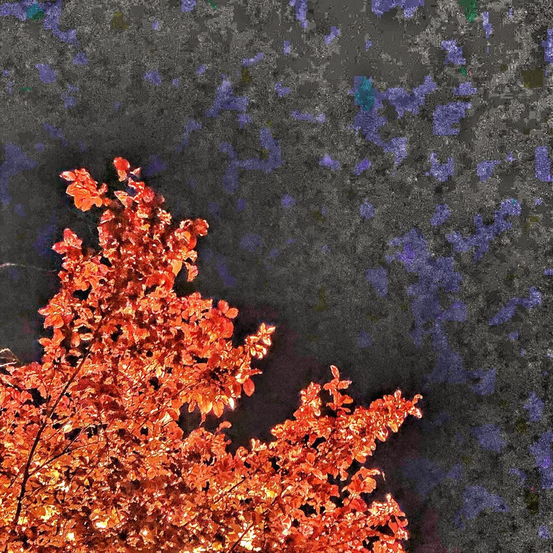 Nuit noire en couleur