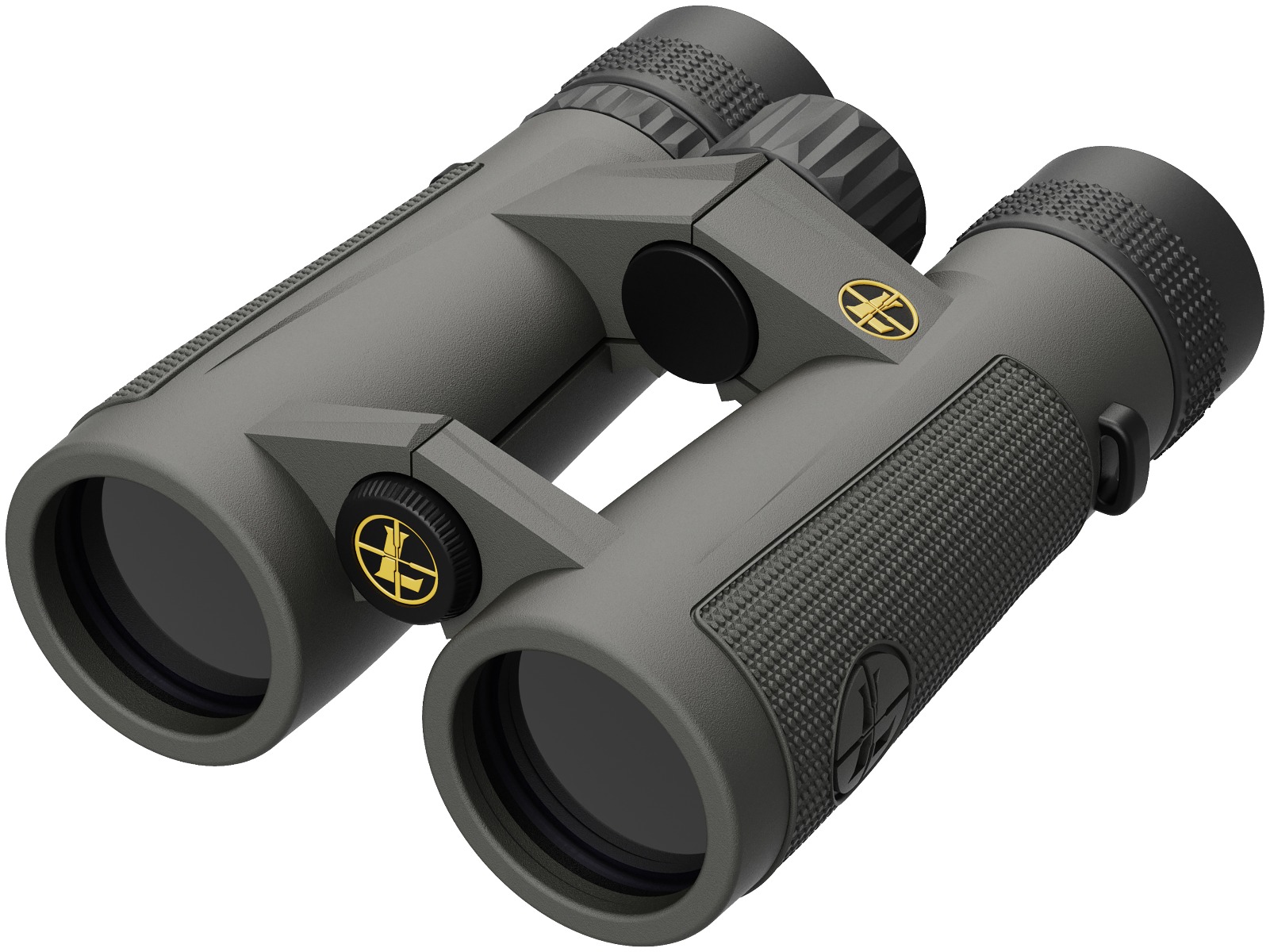 Leupold BX-5 Santiam HD 10x42mm Binocular Shadow Gray