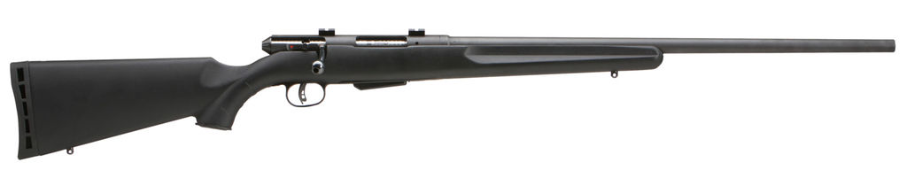 Savage Arms 25 Walking Varminter 17 Hornet 22" Barrel 4 Round Synthetic Sto