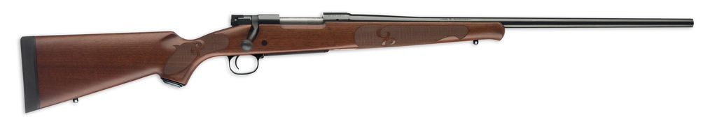 Winchester Model 70 Featherweight 22-250 Rem 22 in Brushed Polish 5 Rounds