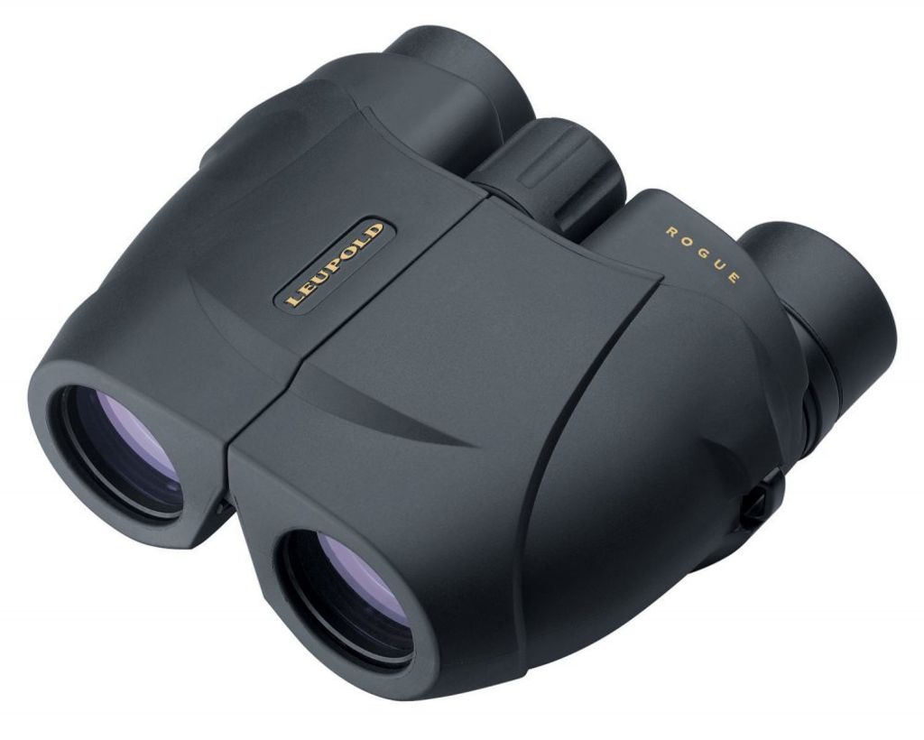 Leupold Rogue 10x25 Compact Binoculars Inverted Porro Prism