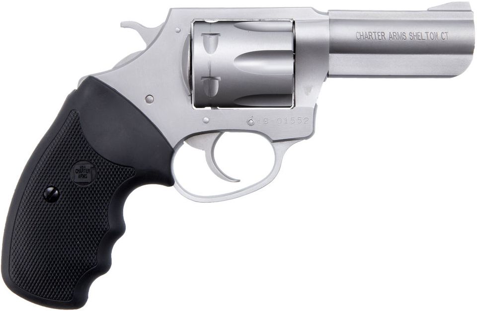 CHARTER ARMS Pit Bull .380 6rd 3in Stainless Fixed Sights Revolver 73802 - CHARTER ARMS - 380