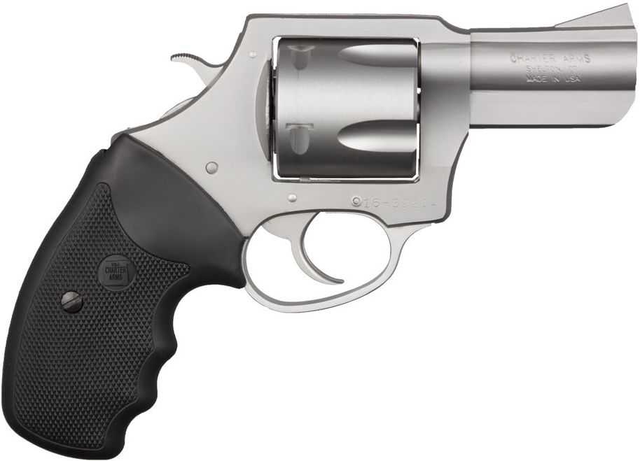 Charter Arms 74520 Pitbull 45 ACP 5rd 2.50" Matte Stainless Steel... - CHARTER ARMS - 45 ACP