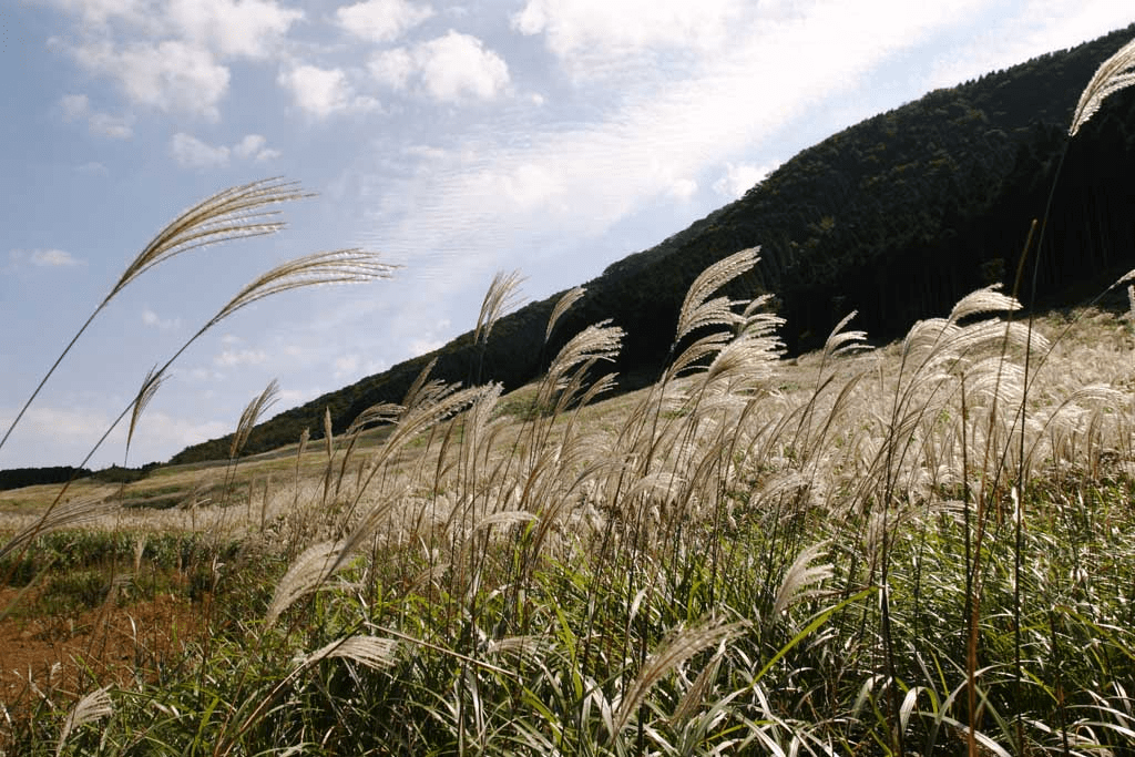 "Sengokuhara Plateau"