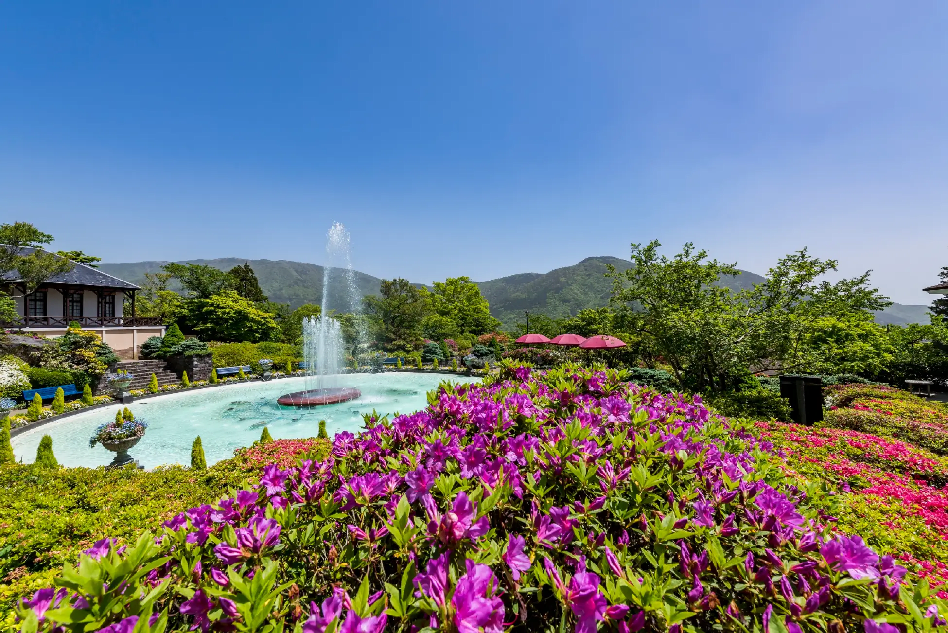 "Hakone Gora Park" Where Azaleas Bloom