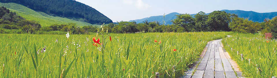 "Hakone Wetlands Garden"