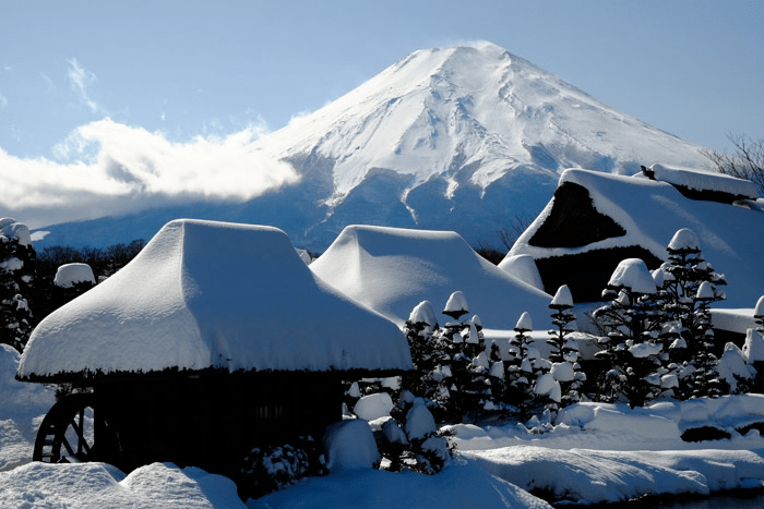 Mt. Fuji and houses