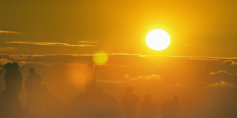 2206202500908_image9.png