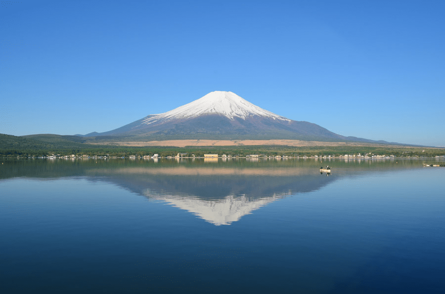 230820251830_image6.png
