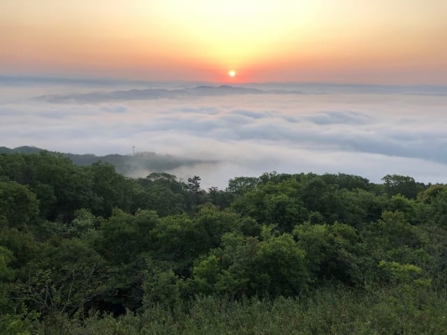 280720251941_image1.jpg