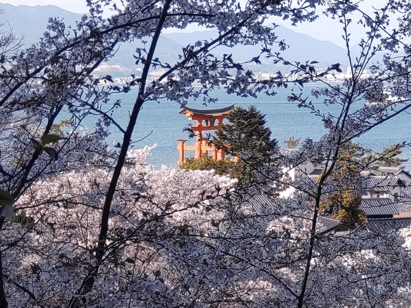 280720251941_image19.png