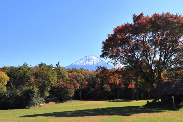 Lake Saiko Wild Bird Forest Park