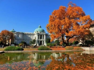 Autumn in Ueno Park & Fall Foliage Spots 2024: Ueno's 10 Best Places