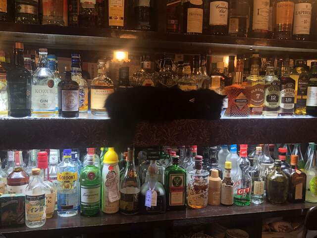 Bar Neko