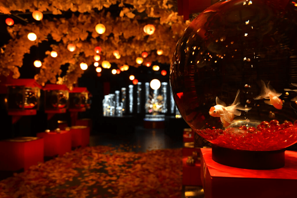 Art Aquarium Museum GINZA
