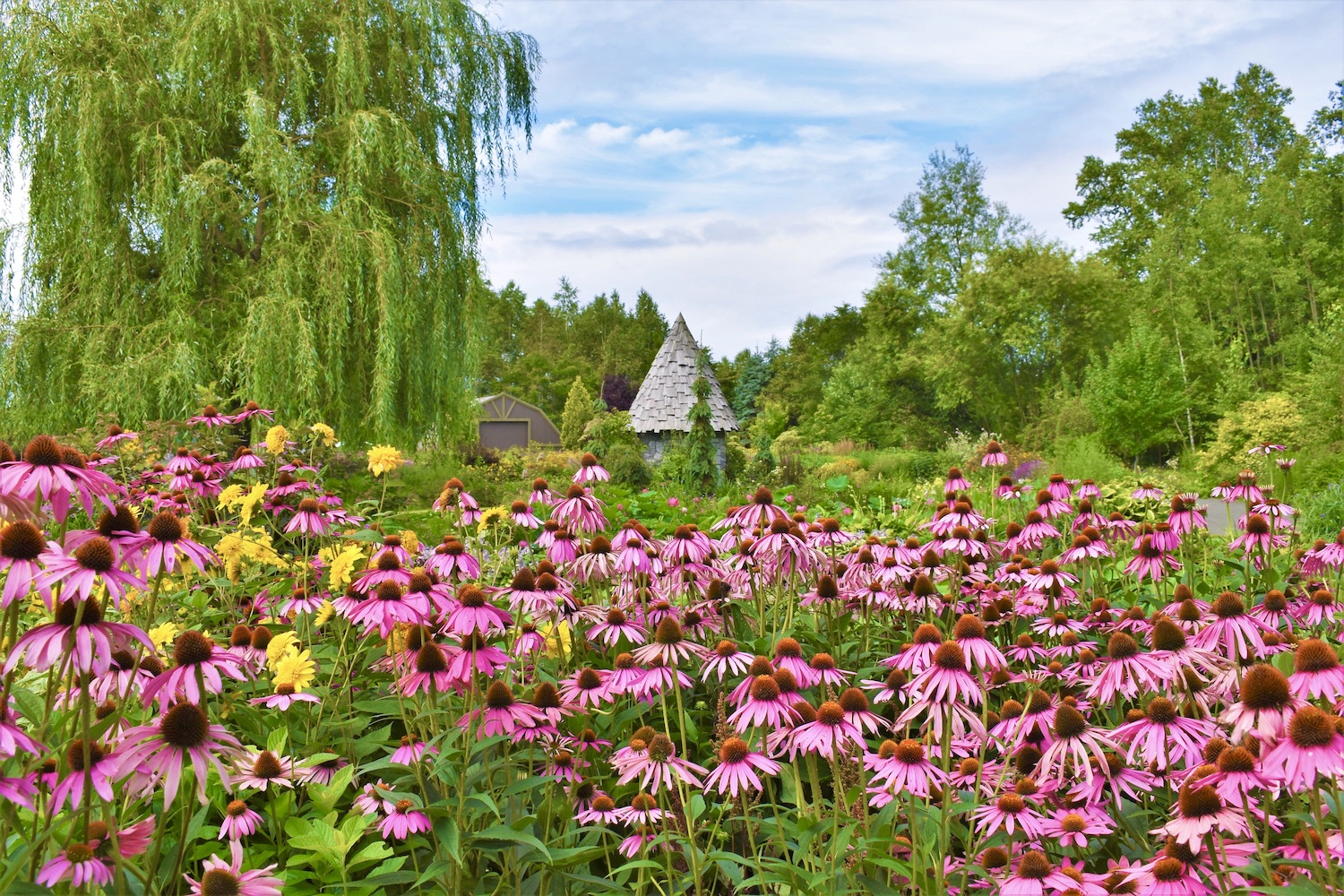 Ueno Farm (The Gnomes' Garden)