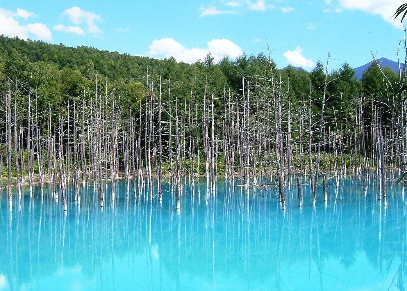Asahiyama Zoo, Blue Pond, Shirahige Falls, Ningle Terrace