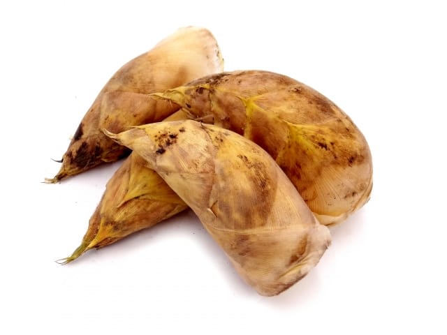 Bamboo Shoots and Other Kaga Vegetables