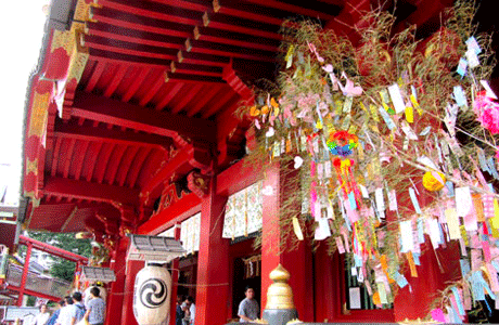Beautiful Collaboration Between the Shrine Buildings and Bamboo Decorations with Tanzaku Strips