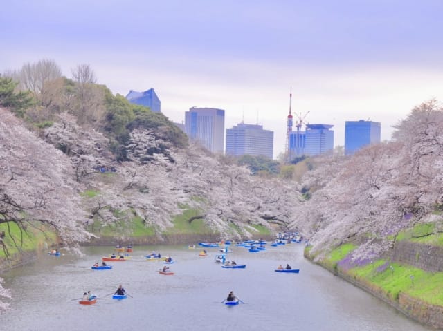 Chidorigafuchi