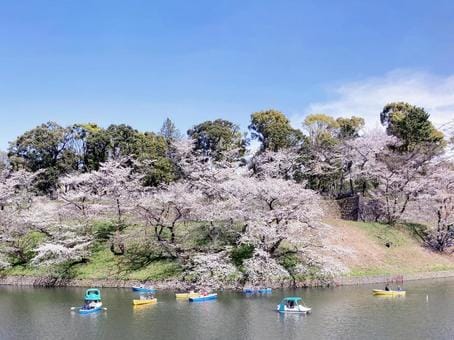 Chidorigafuchi