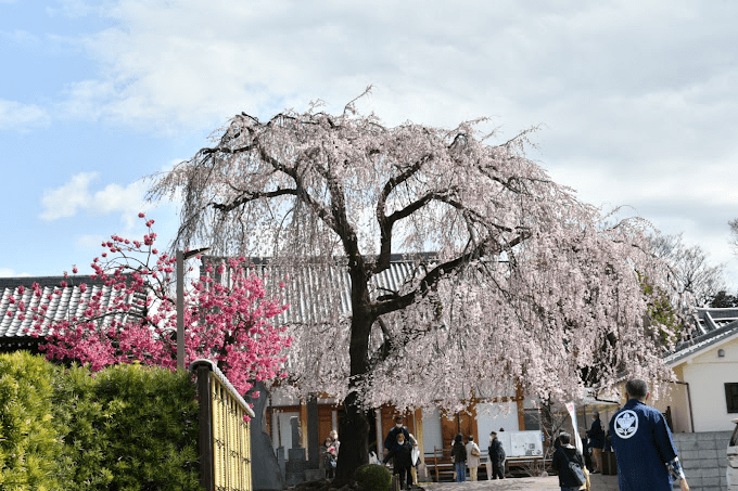 Chomyo-ji Temple