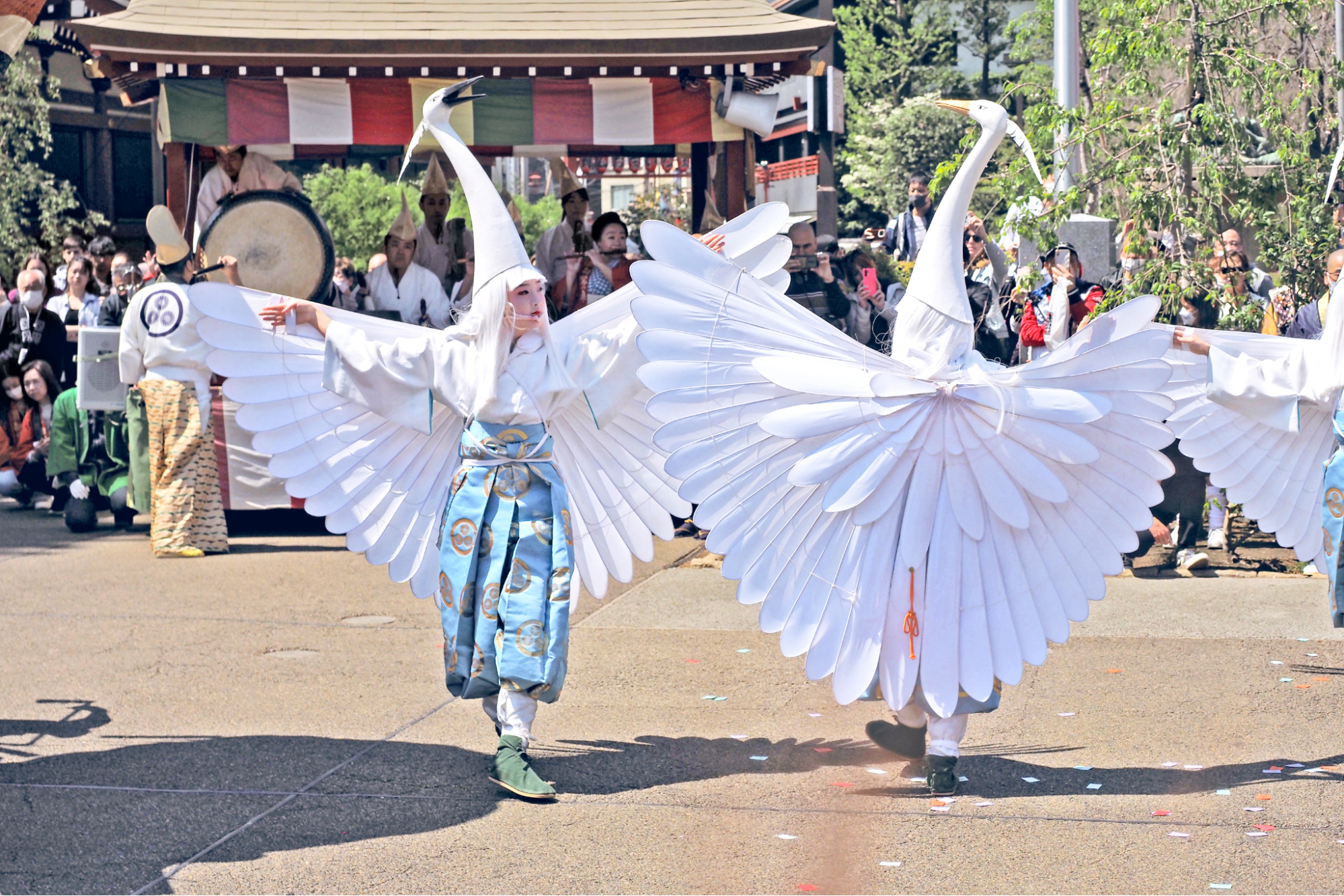 Dance of the White Heron