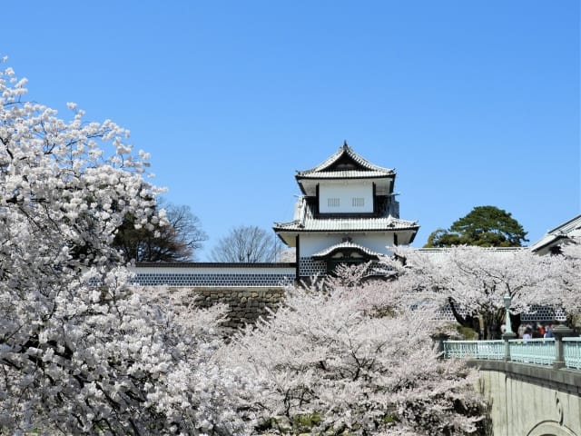 Explore Kanazawa Castle Park: Ultimate 2025 Guide to Japan's Historic Fortress & Beautiful Grounds