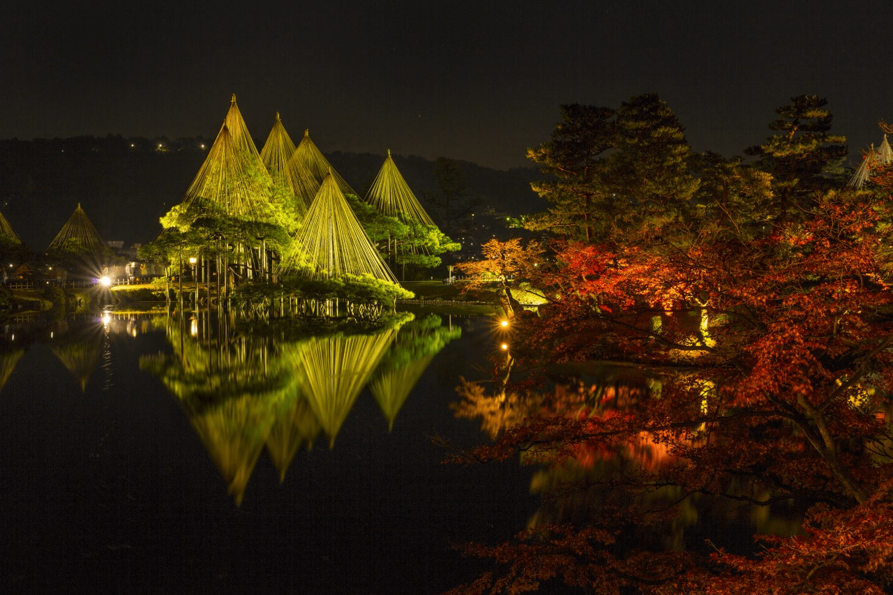 Enjoy the Collaboration of Fall Colors and Illumination.png