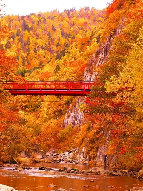 During Autumn Season, Jozankei Area for Nature and Hot Springs is Also Recommended