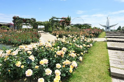 EXPO '70 Commemorative Park Rose Festa