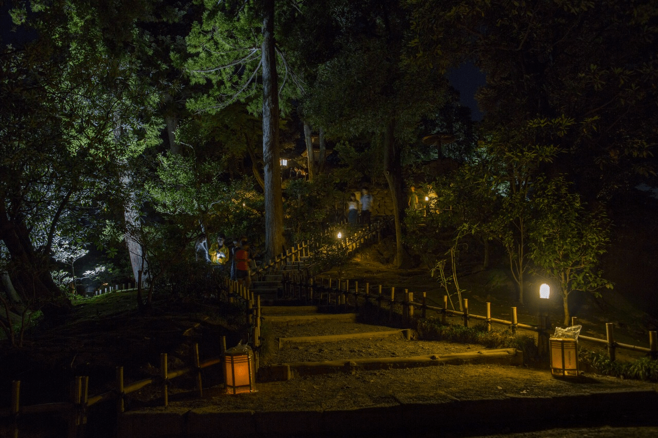 Firefly Viewing at Kenroku-en and Kanazawa Castle Park