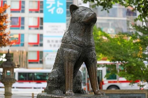 Hachiko