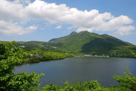 Hakone Forest Therapy Walk