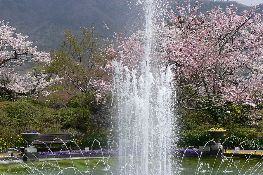 Hakone Gora Park