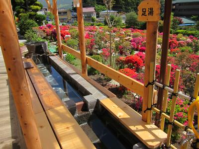 Hakone no Mori Ashiyu