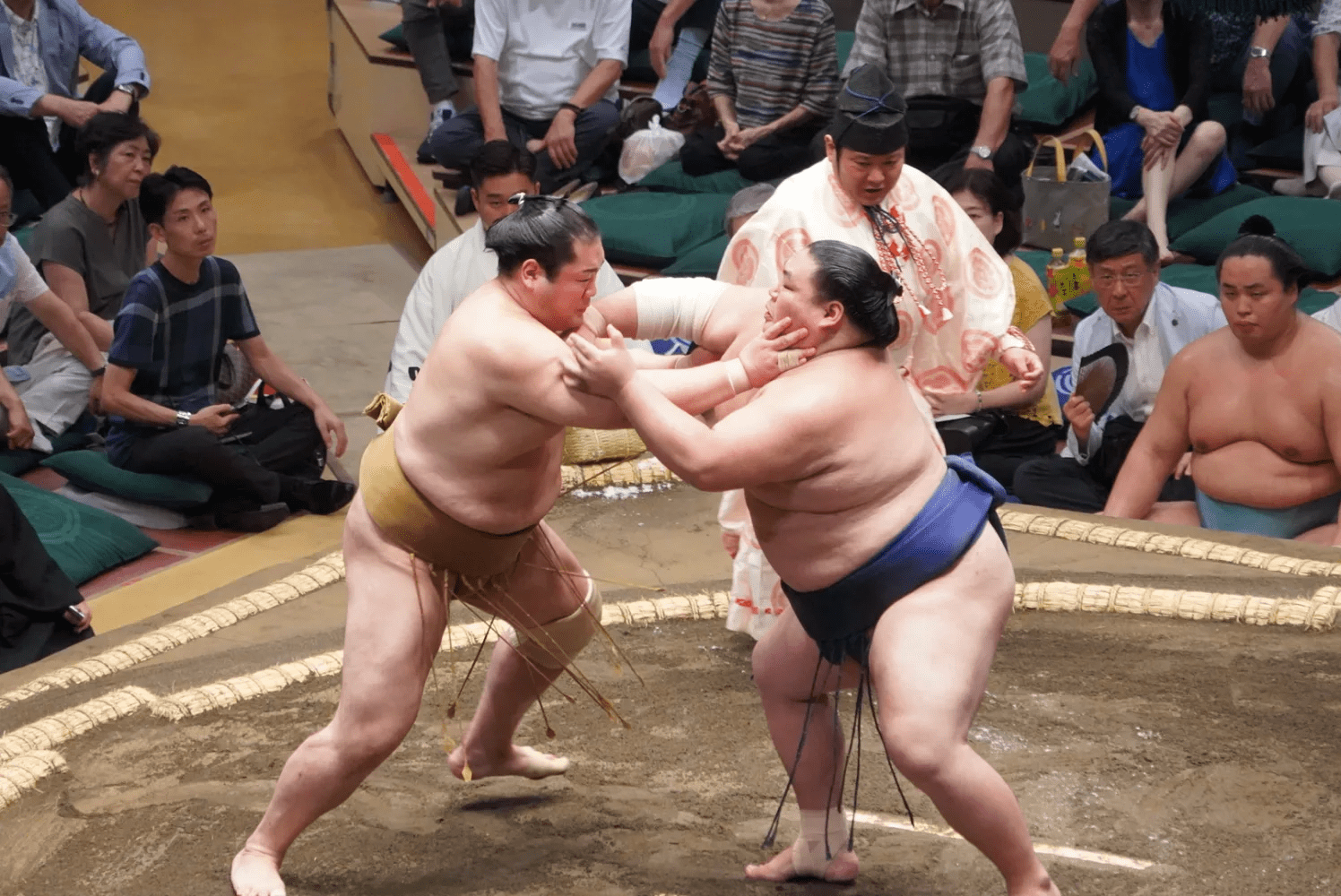Japan's National Sport Established During the Edo Period (1603-1867)