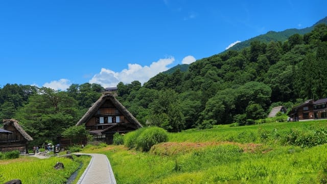 What is Shirakawa-go?