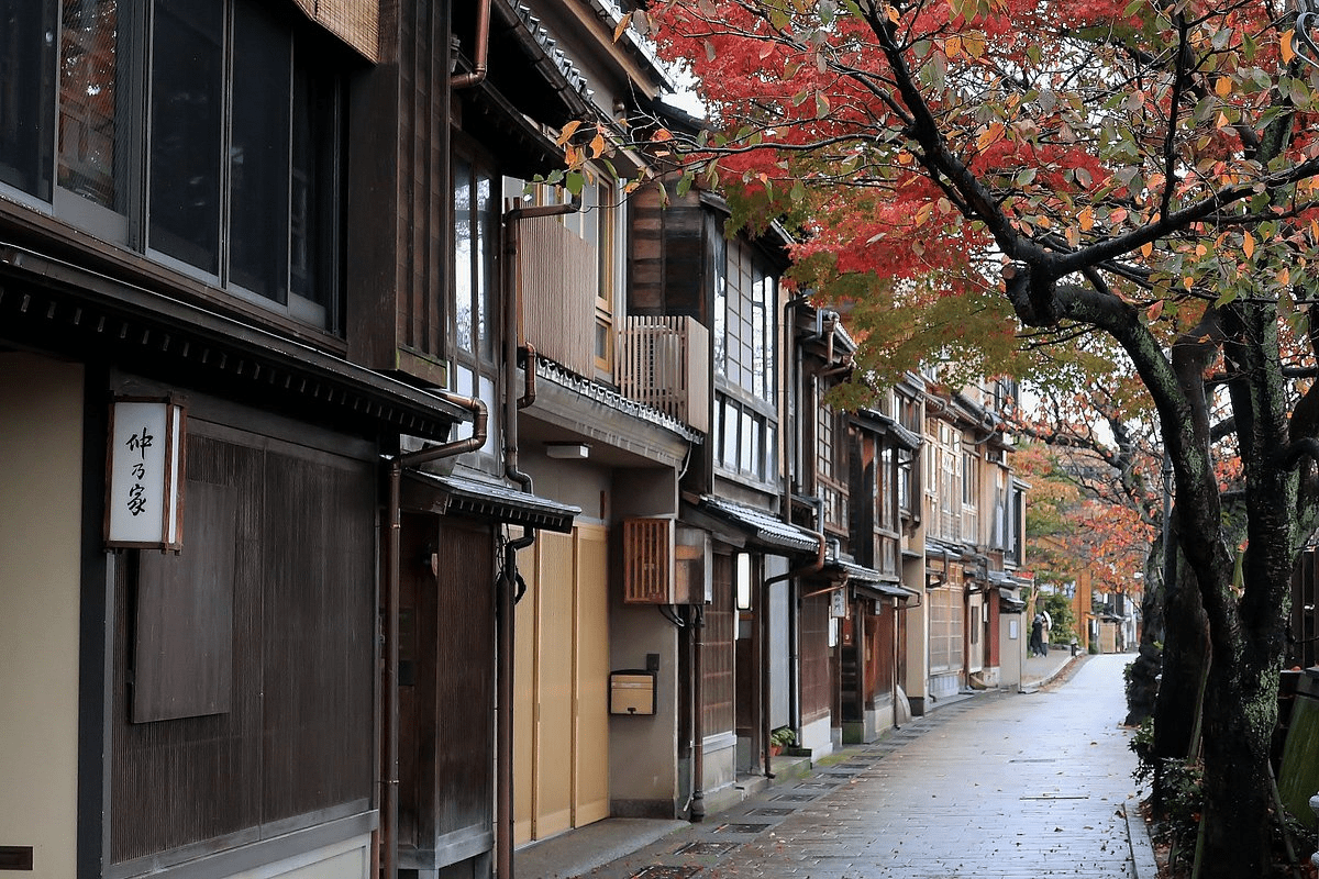 Kyoka's Road