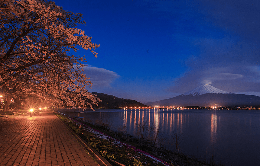 Lake Kawaguchi North Shore Walking Trail