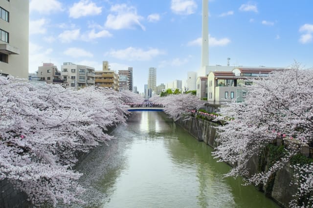 Meguro River