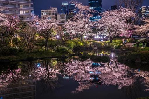 Mori Garden in Spring