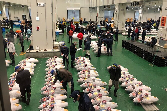 Toyosu & Tsukiji with Tuna Auction