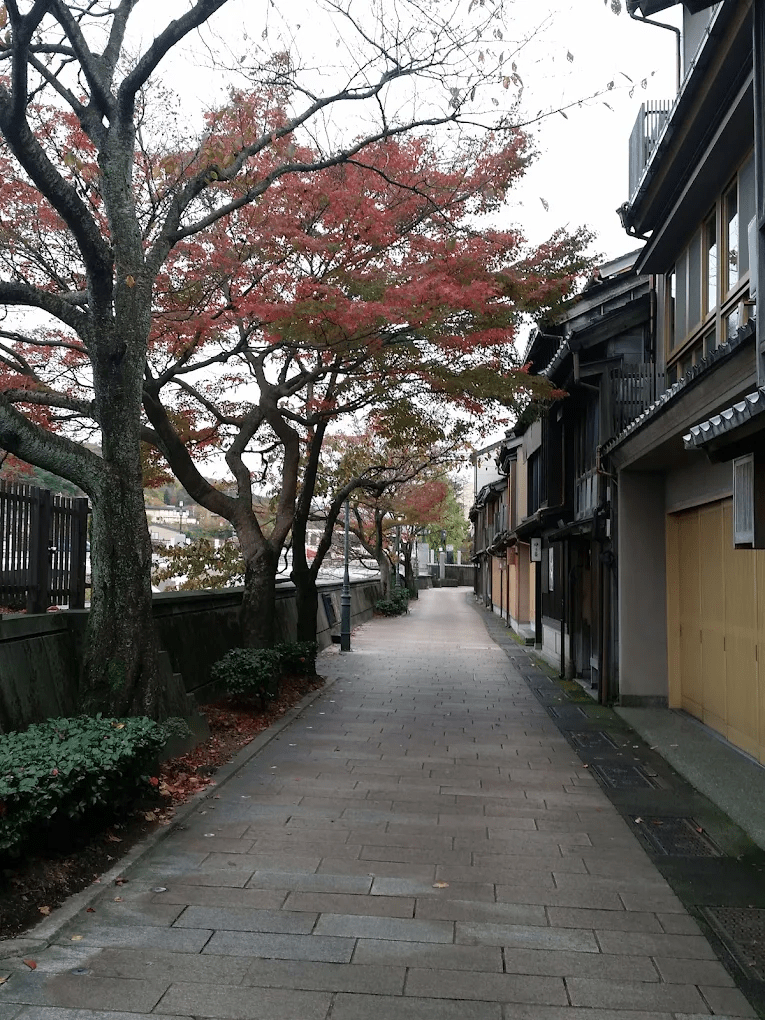 Nishi Chaya District
