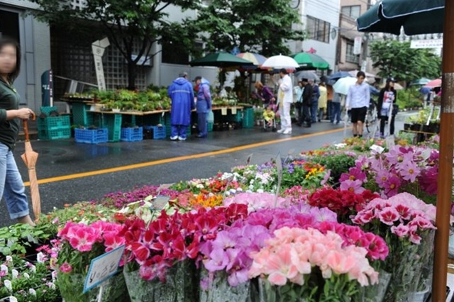 Ofuji-san Plant Fair
