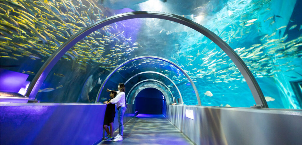 Noboribetsu Marine Park Nixe