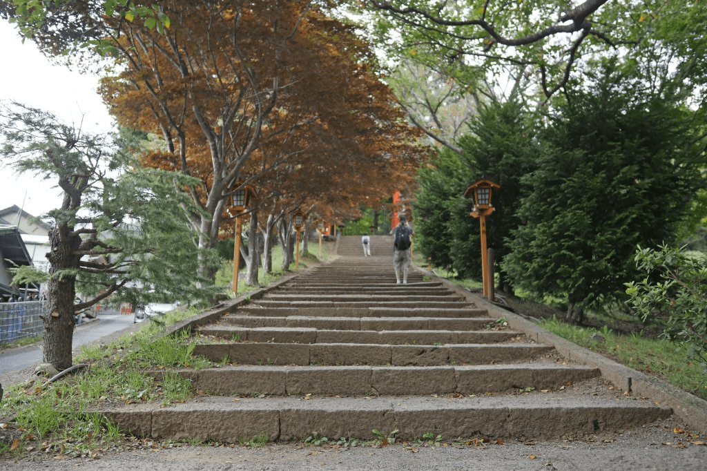 Popular Hiking Course on Mount Arakura